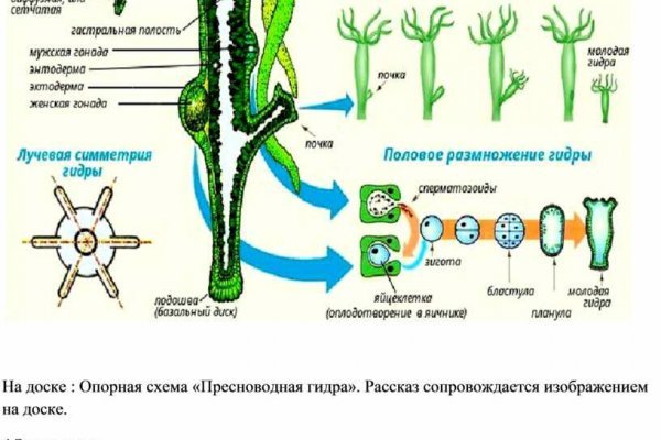 Kraken ссылка зеркало
