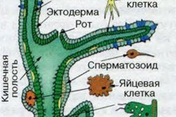 Кракен онион ссылки