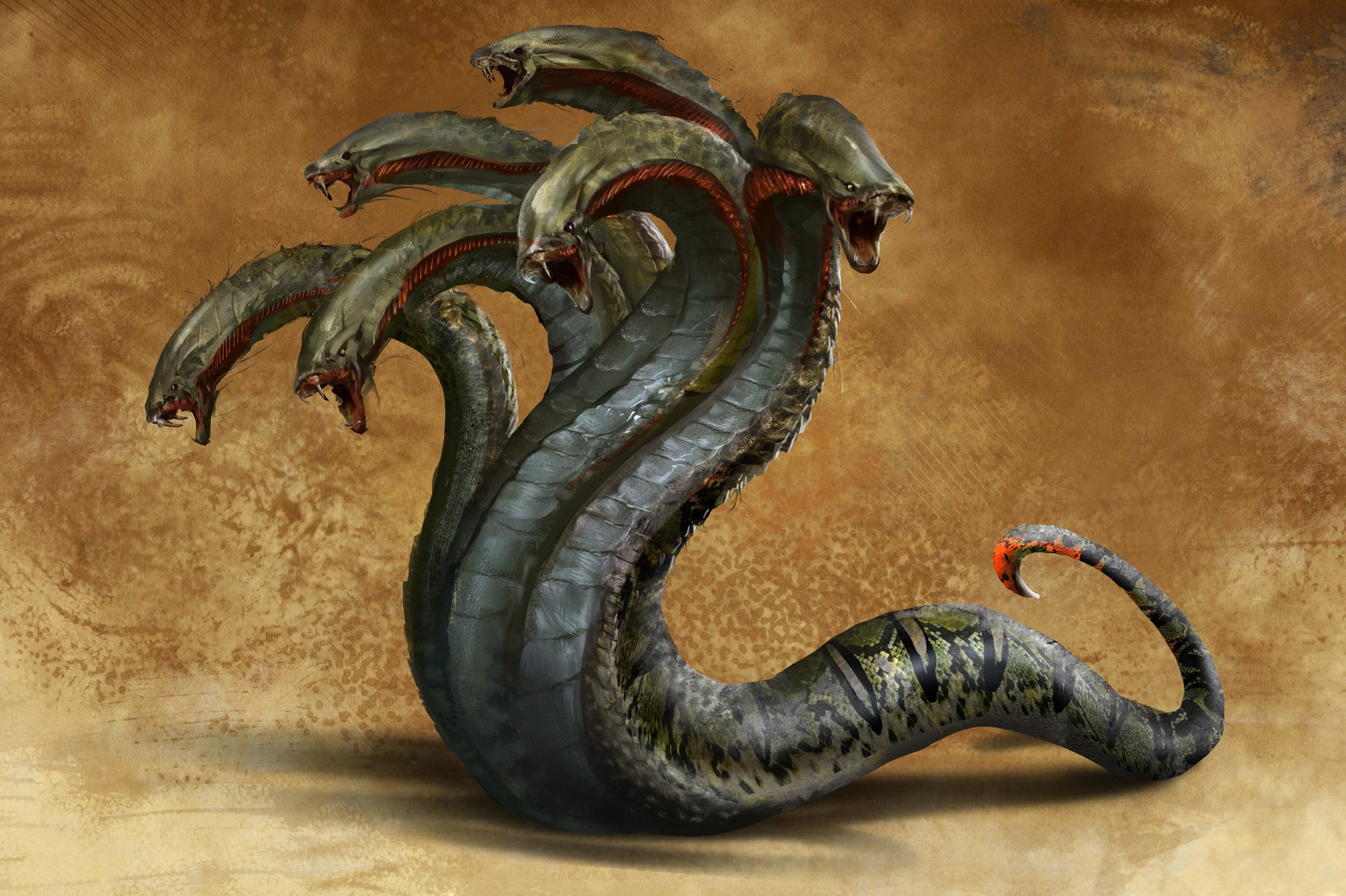 Как вывести деньги с kraken